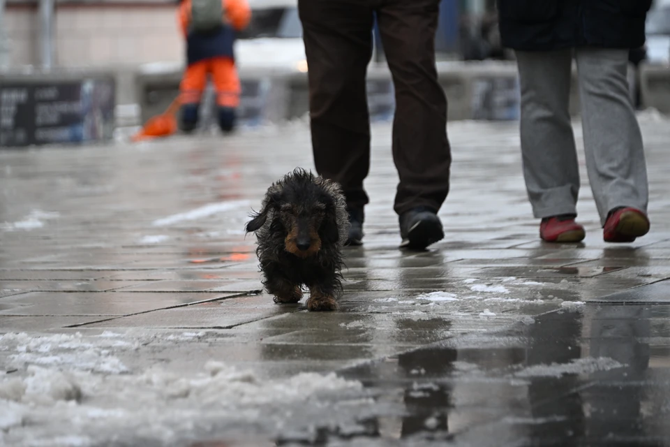 Жителям Приморья на этой неделе предстоит испытание на прочность