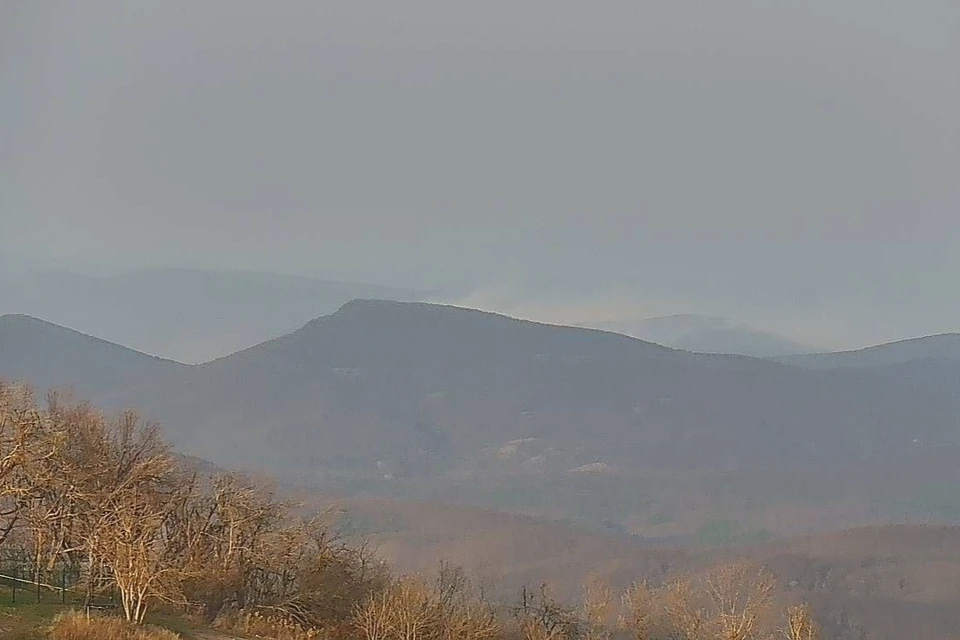 В Абинском районе тушат лесной пожар Фото: Краевой лесопожарный центр