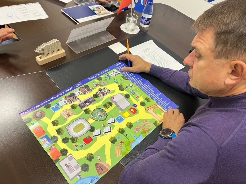 Для работы объекта нужны подъездная дорога и электричество. Фото: Леонид Бабашов/Tg