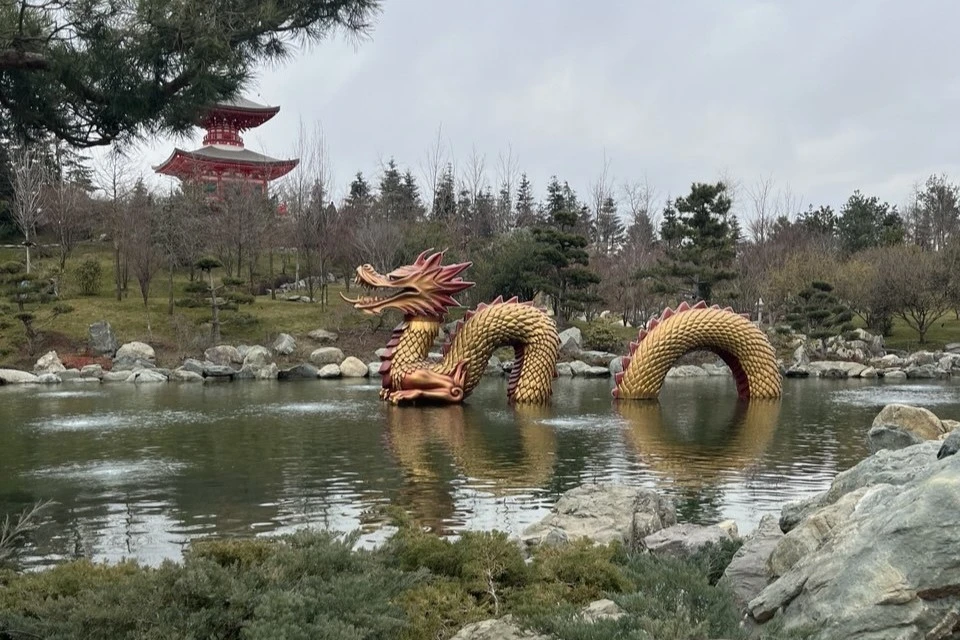 В пруду Японского сада снова установили легендарного золотого дракона