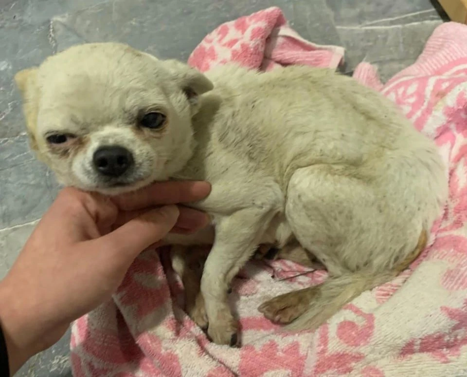 Фото: соцсети