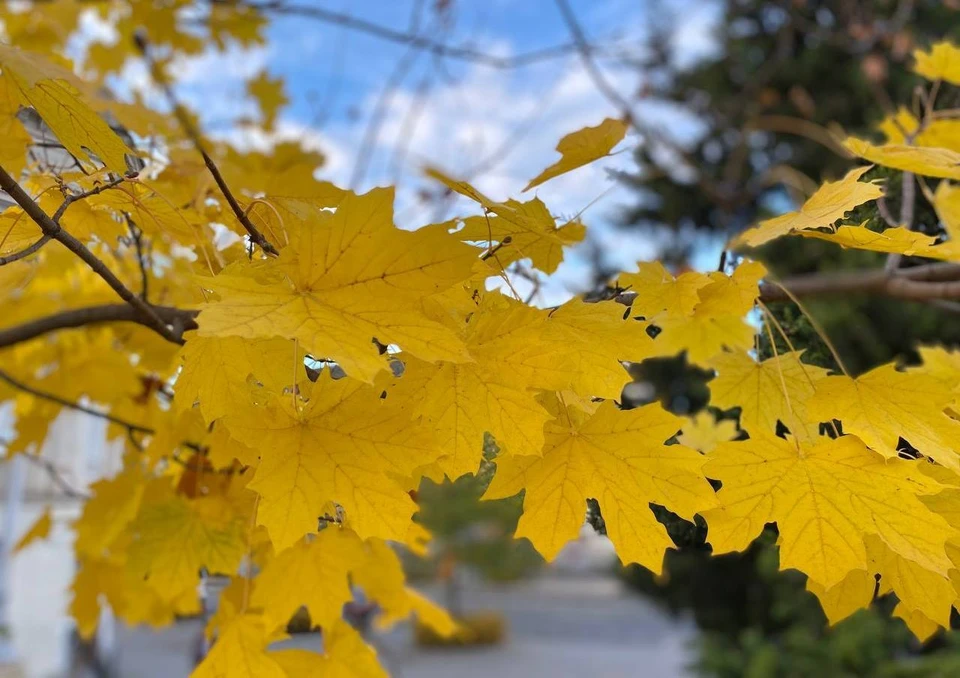 Ноябрь продолжает радовать