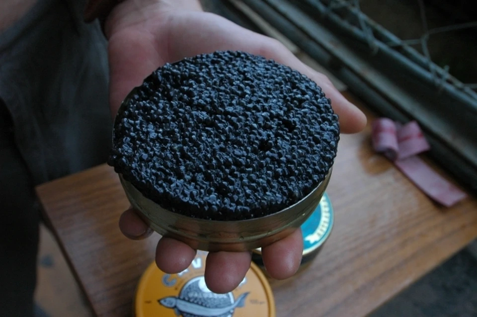 Жителей Хабаровского края осудят за контрабанду 770 килограммов черной икры