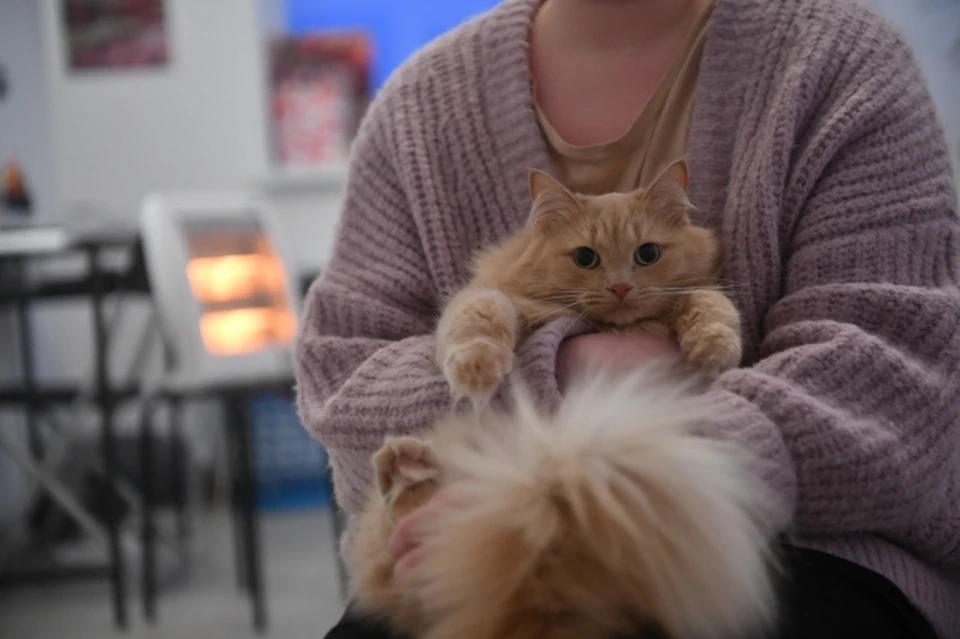 Больше 10 многоквартирных домов остались без тепла и горячей воды в Хабаровске