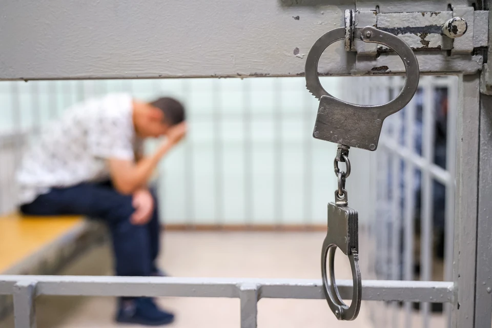 Задержан подозреваемый в хищении концертного оборудования в Химках