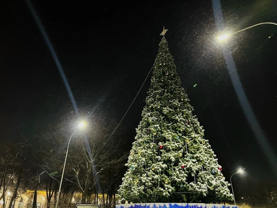 Фото: фотоархив портала "КП в Костроме"