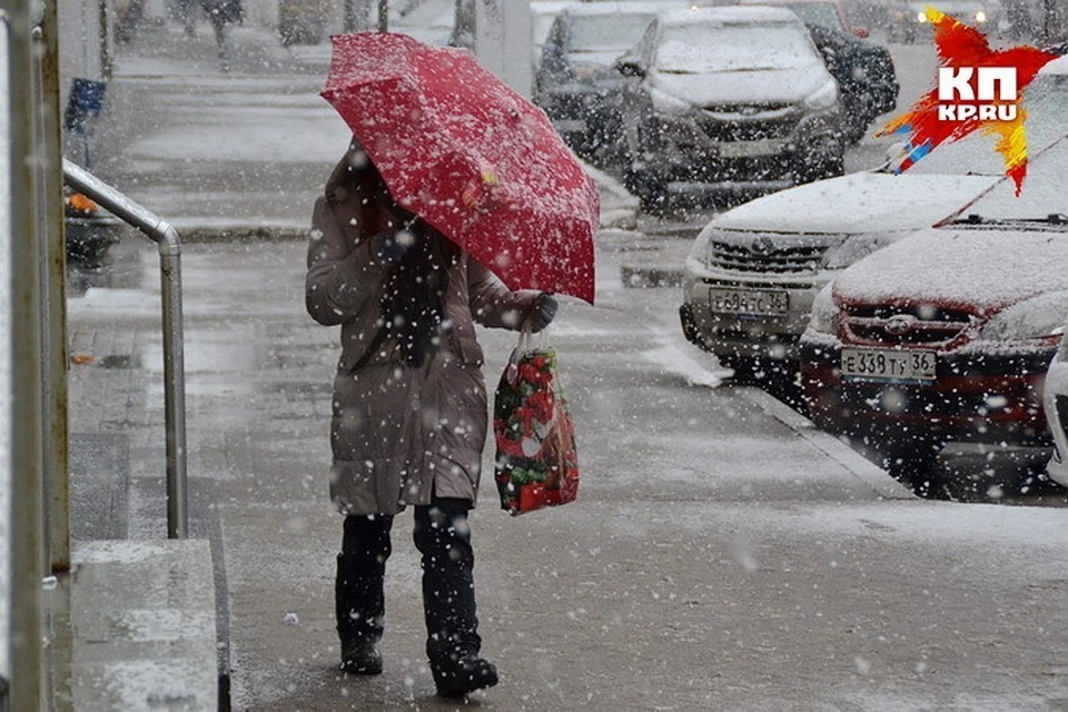 Фото: архив КП.