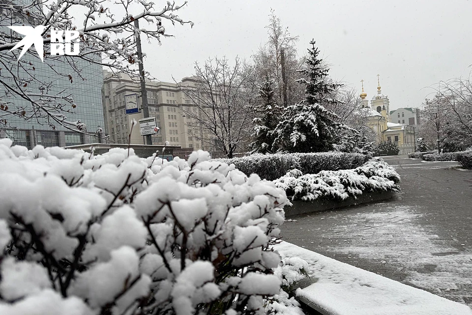 Вильфанд рассказал, когда снег придет в Московский регион