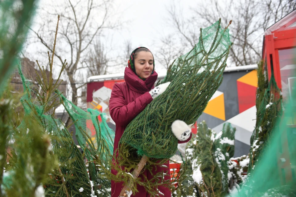 Россиянам напомнили, что выгоднее брать елку в последние дни перед праздником
