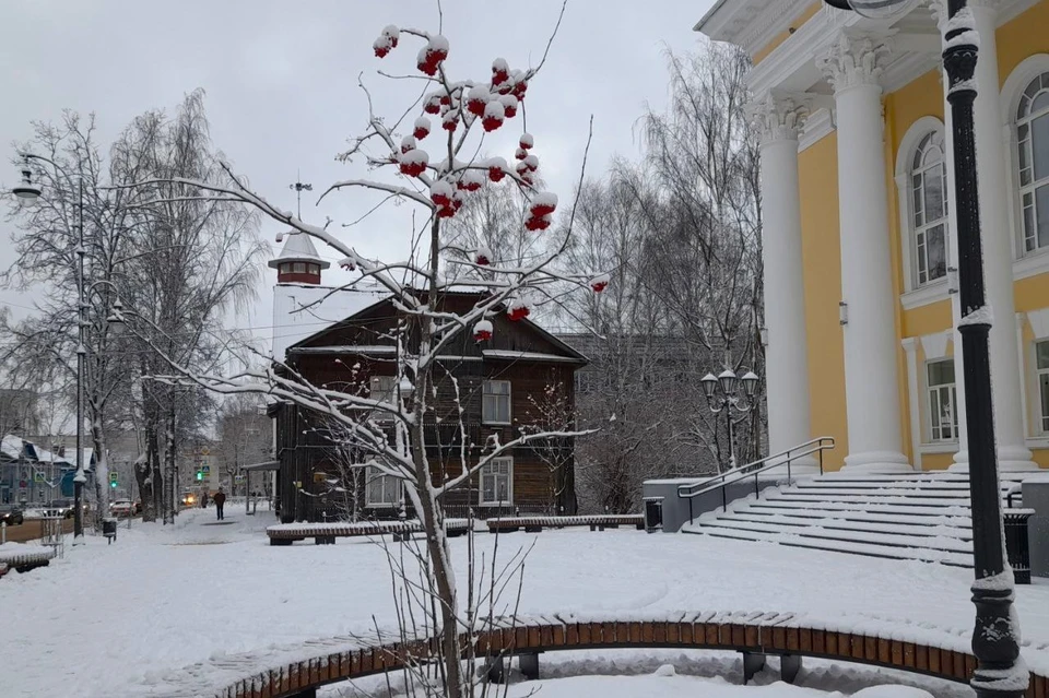 Метеорологи рассказали о погоде в Коми 27 ноября.