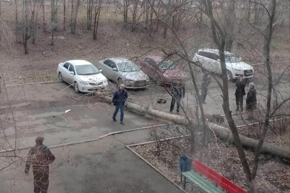 Девушке не хватило нескольких шагов до безопасного места