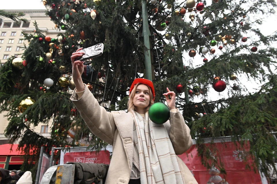 20% россиян встретят Новый год за городом — опрос «Суточно.ру»