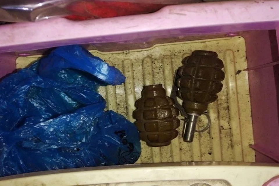 В Харцызске полицейские изъяли у мужчины две гранаты. Фото: МВД ДНР