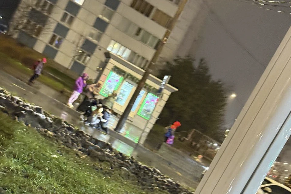 Пешехода сбили в Приморском районе. Фото: t.me/Megapolisonline