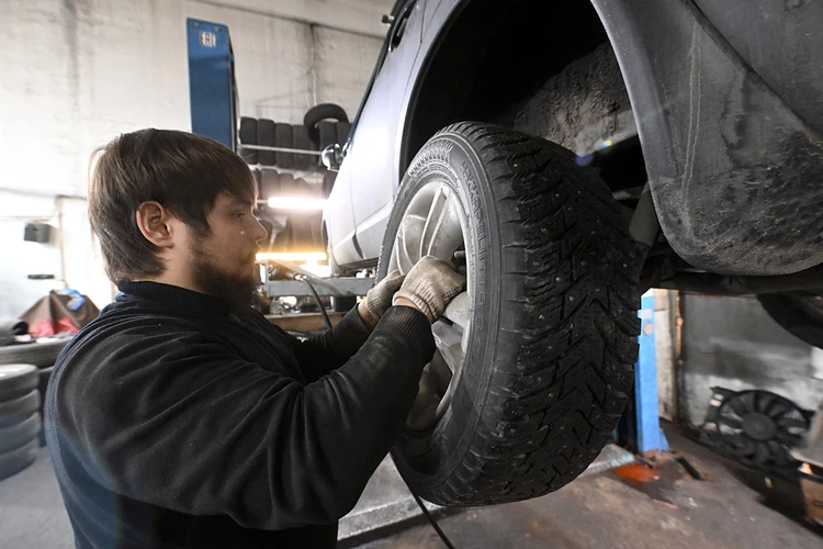 Новые законы с 1 декабря 2025 года: QR-код вместо паспорта и наказание за летние шины