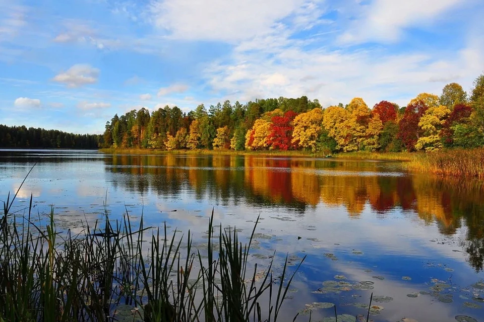 Фотография победила в конкурсе. Фото: Вера Белова