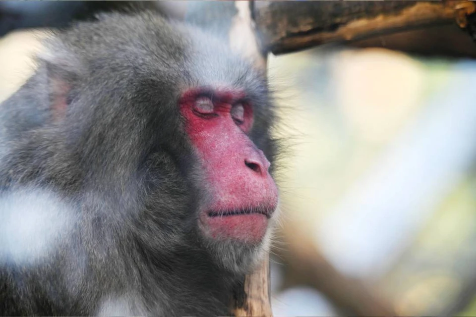 За пару дней Машеньку успели похитить и найти. Архивное фото.