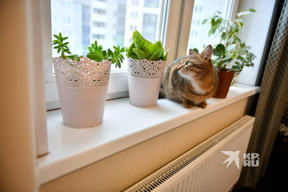 В Екатеринбурге с 1 декабря меняется система оплаты за отопление