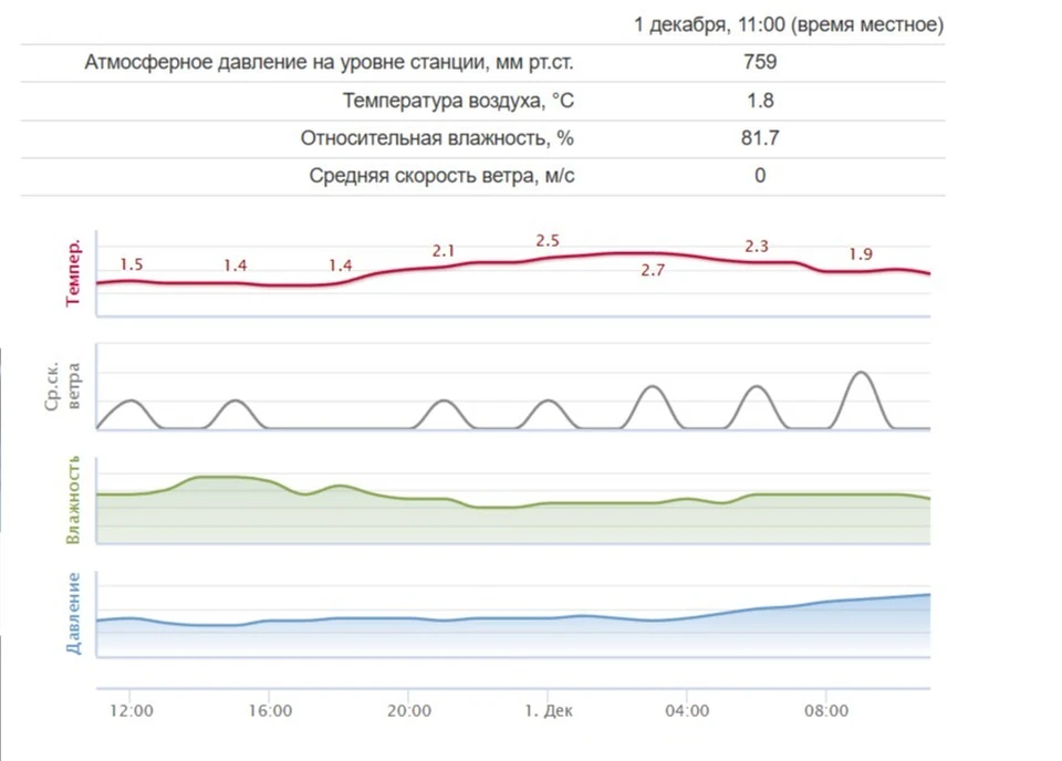 Тамбовчанам обещают теплое начало декабря