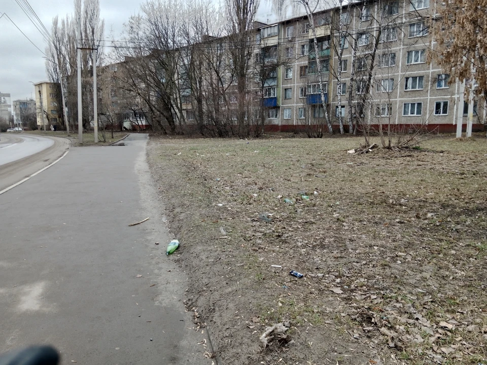 В Курской области пройдет снег