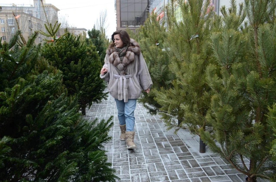 Горожане скоро смогут купить главное украшение к Новому году на елочных базарах.