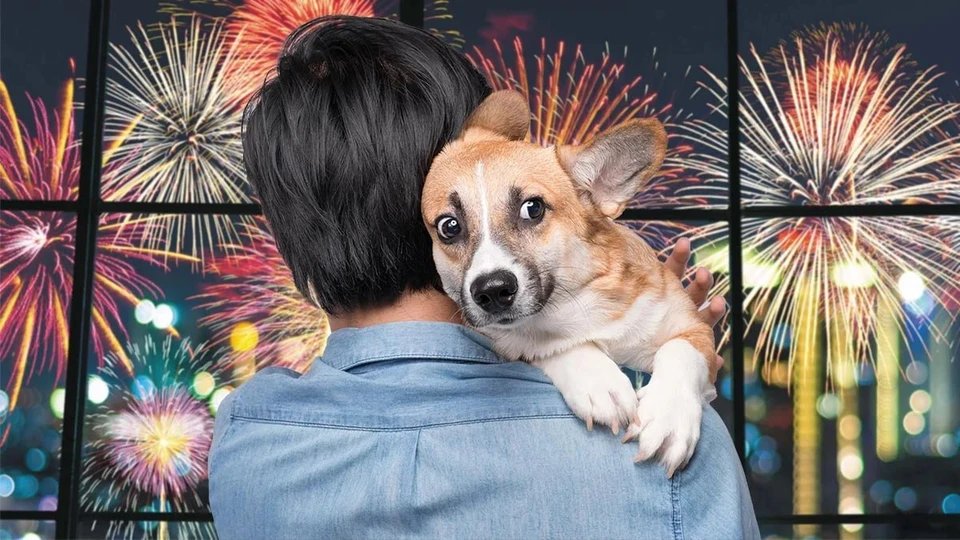 Фото: из архива