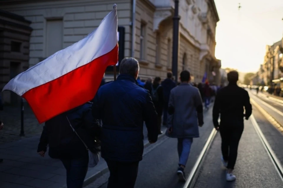 Пушков: Польша вместе с украинцами получила «лихие-90-е»