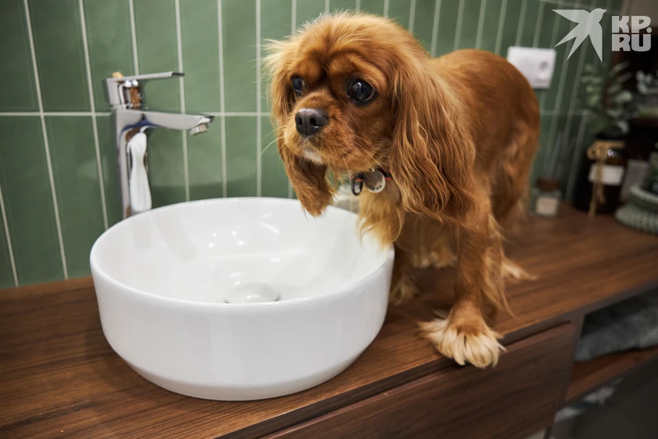 Масштабное отключение холодной воды произошло в центре Рязани и Горроще.