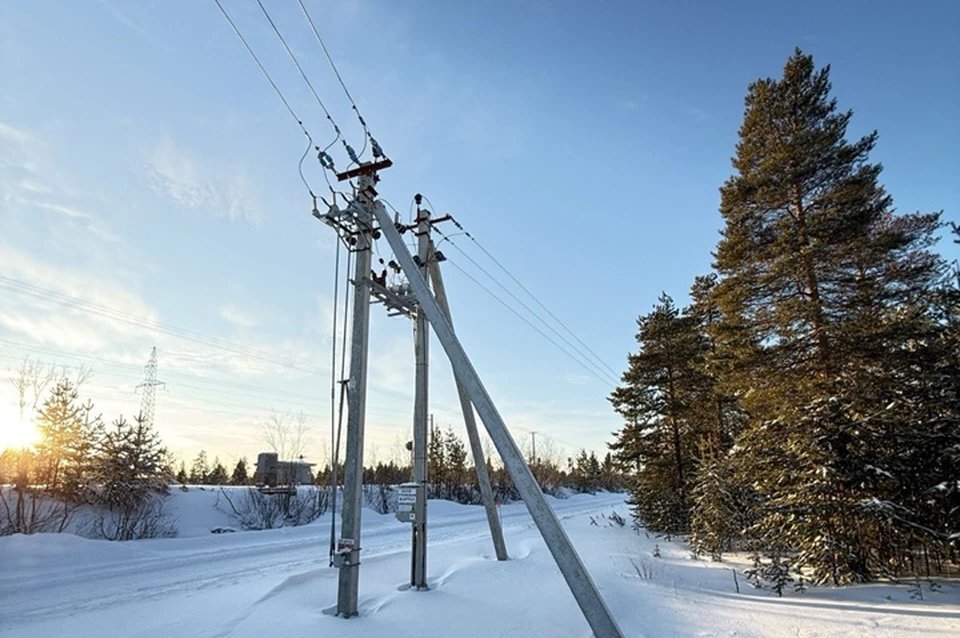 Фото: Григорий Орлов