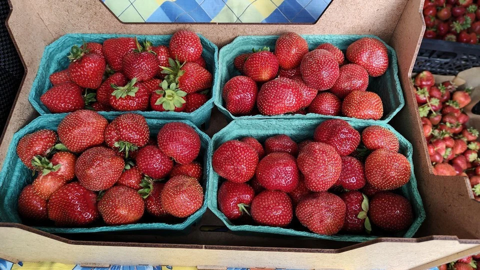 Фото: пресс-служба АПК.