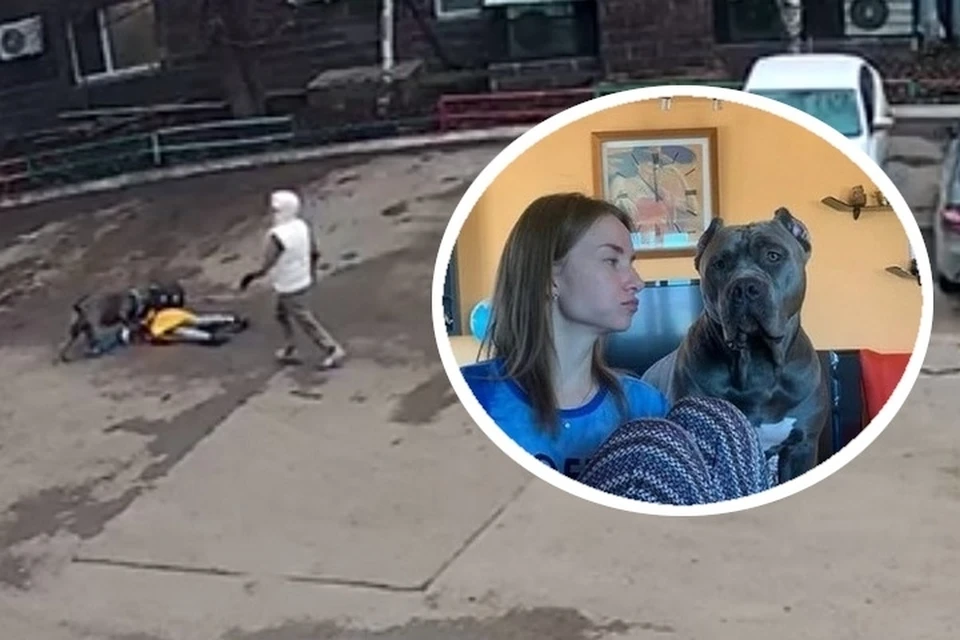 Соседи жалуются на пренебрежение хозяйки правилами выгула. Фото: личный архив героини публикации.