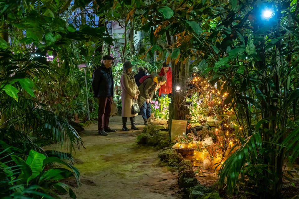 В первые декабрьские выходные в оранжереях пройдут тематические экскурсии.