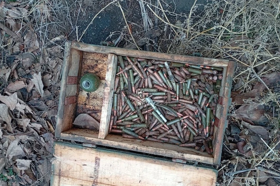 Гранаты и патроны нашли в лесу Черниговского района. Фото: ГУ МВД Росси по ЗО