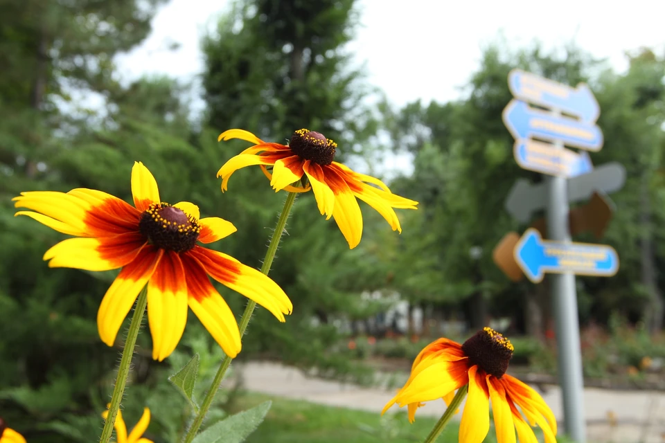 Фото: пресс-служба Гуппы Агроком
