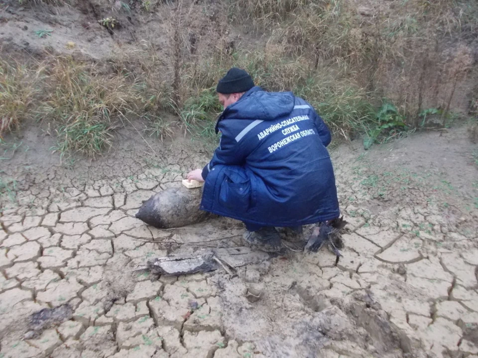 Фото пресс-службы ГУ МЧС России по Воронежской области.