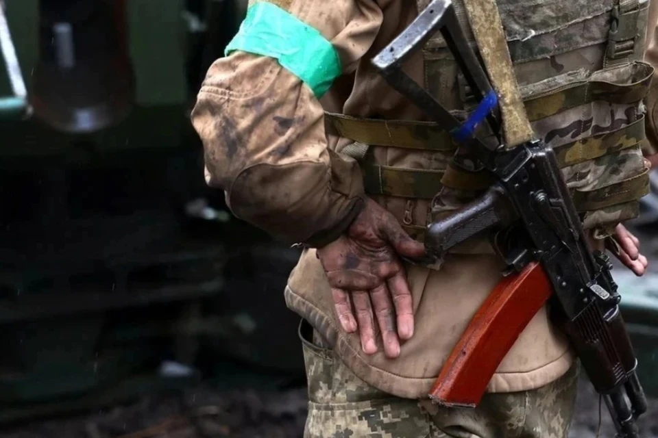 Наемники ВСУ в Херсонской и Запорожской областях отсиживаются в тылу