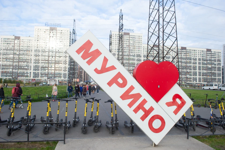 Платные парковки придут в Мурино?