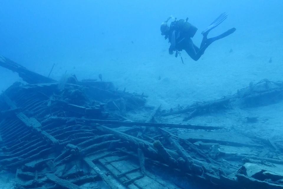 Фото: scubadesign/Shutterstock/Fotodom