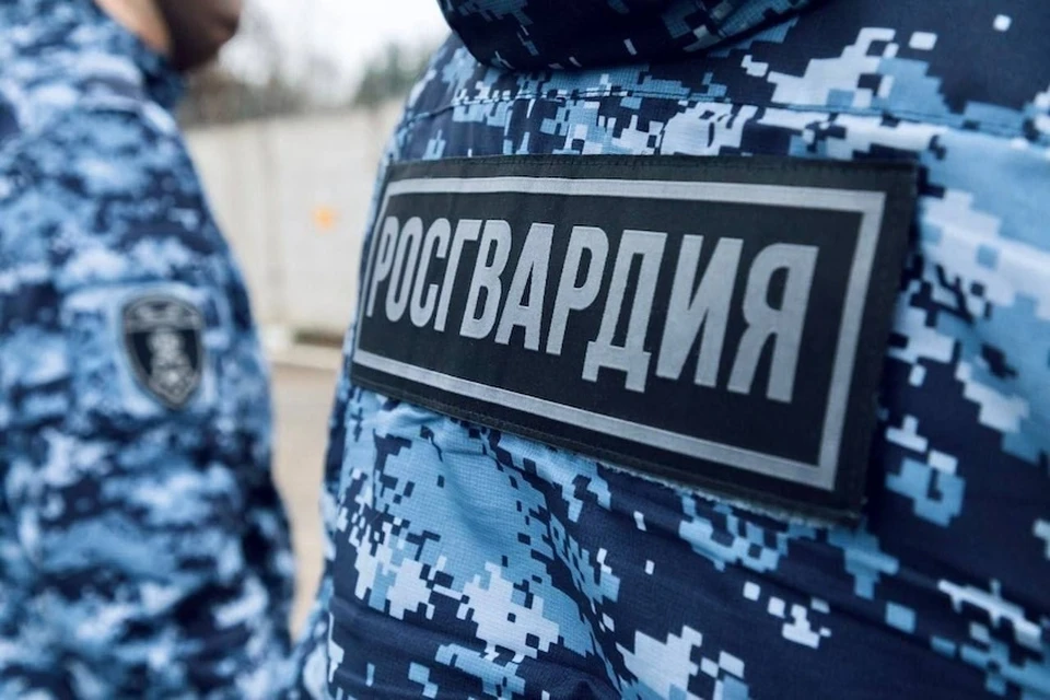 Задержан дебошир, который предпринял попытку напасть на росгвардейцев в Москве. Фото: пресс-служба ГУ Росгвардии