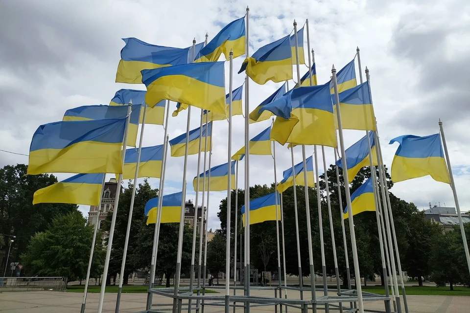 Соскин назвал визит Зеленского в Лондон способом подрыва мирного плана США