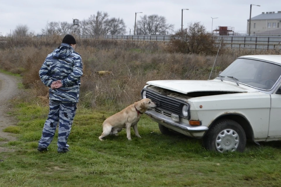 Правоохранители нашли машину пенсионера, в которой его самого не было. Иллюстративное фото: ГУ МВД России по СК