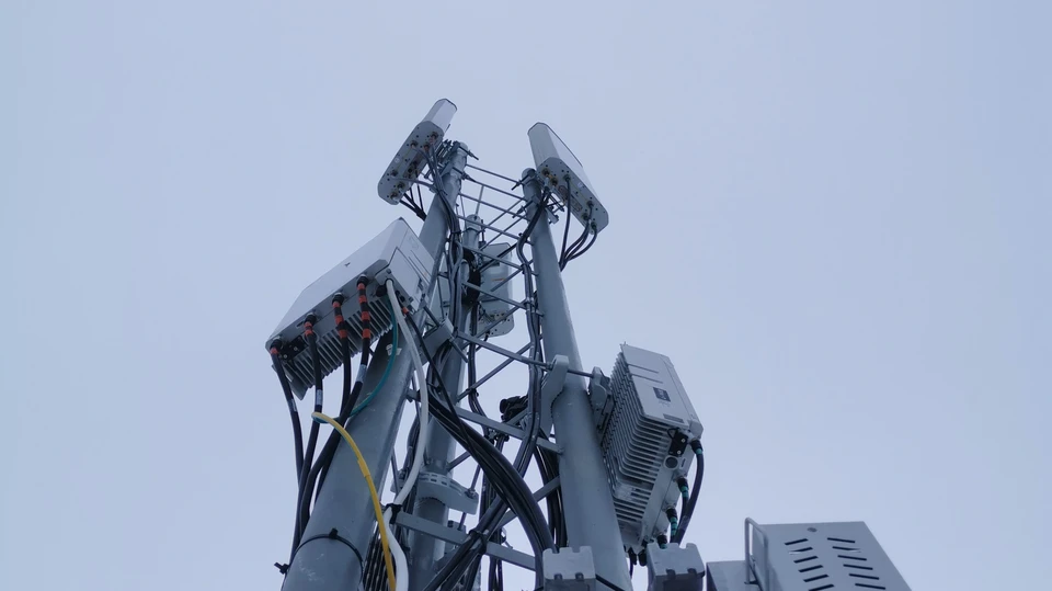 Фото: пресс-служба «Булат»