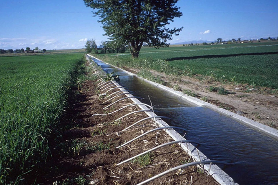 Открытый источник