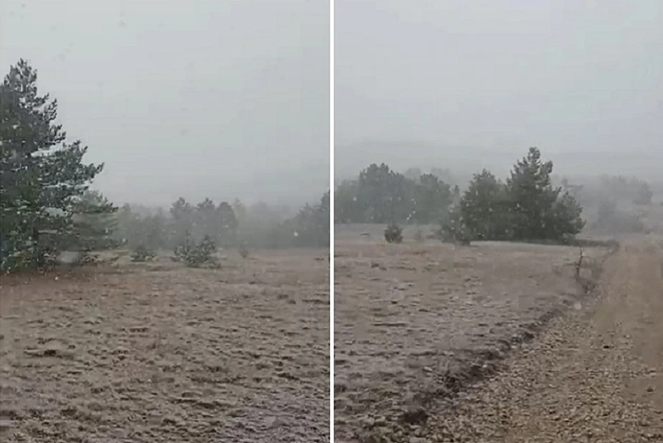 Первый снег пошел на плато Ай-Петри 10 декабря. Кадр из видео, снятого сотрудниками ФГБУ "Заповедный Крым"