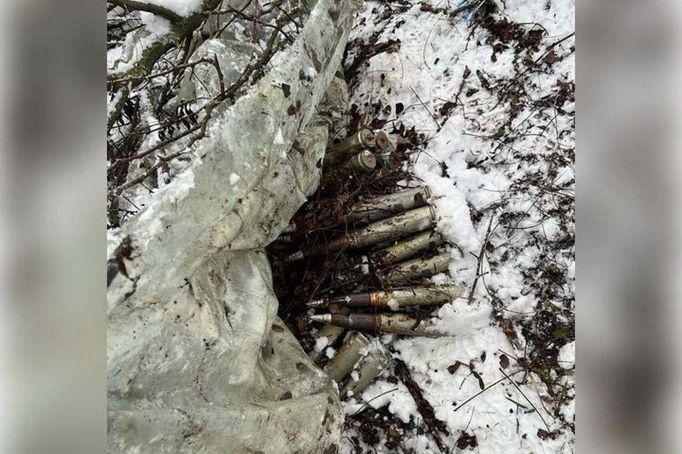 Схрон с боеприпасами вскрыли полицейские в лесу. Фото: ГУ МВД России по ЗО