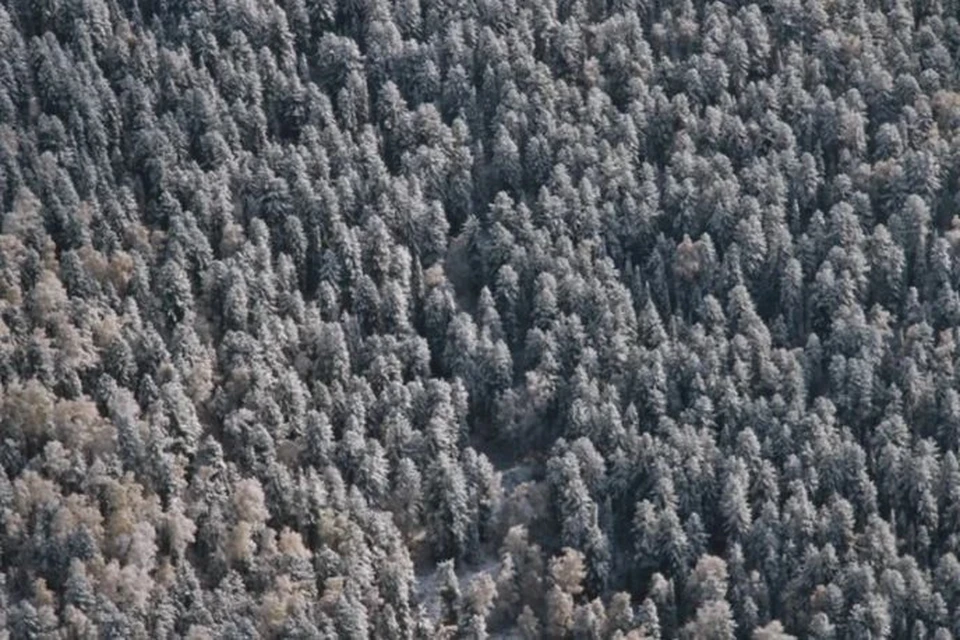 Геопарк объединит ключевые геологические, природные и археологические объекты в единую туристическую зону