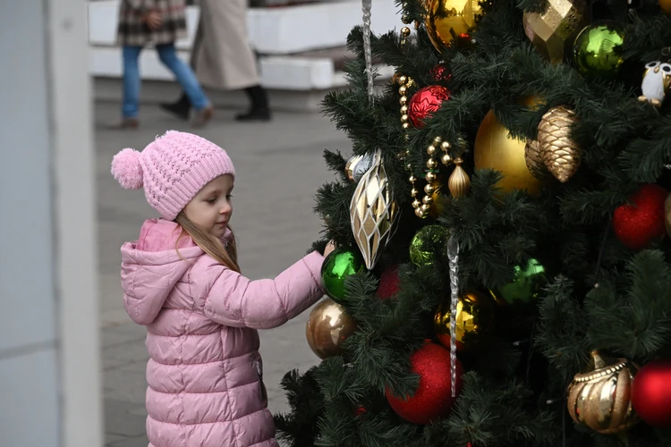 Власти Краснодара отменили все массовые гуляния в период новогодних каникул