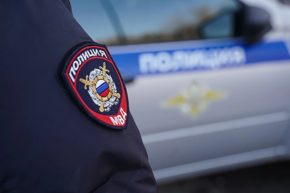 Больше всего в криминальной статистике оказалось краж.