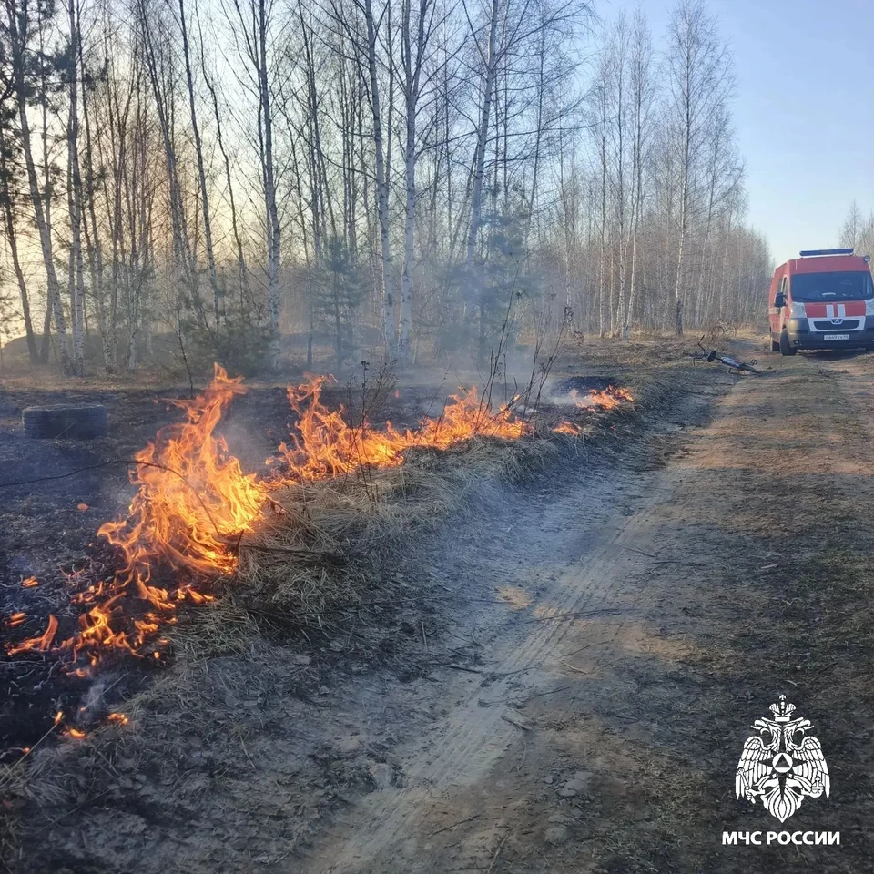 Фото: пресс-служба ГУ МЧС России по Костромской области