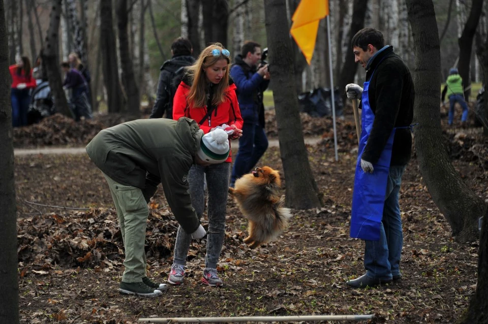 Общегородской субботник состоится в Краснодаре 25 апреля
